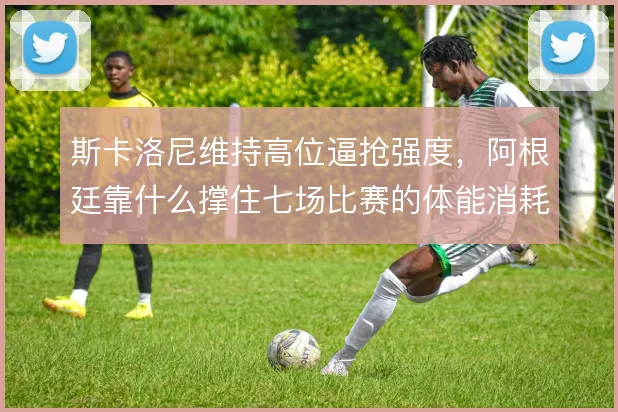 斯卡洛尼维持高位逼抢强度，阿根廷靠什么撑住七场比赛的体能消耗
